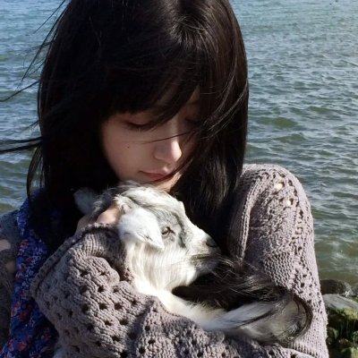 革命摇篮维堡区海报